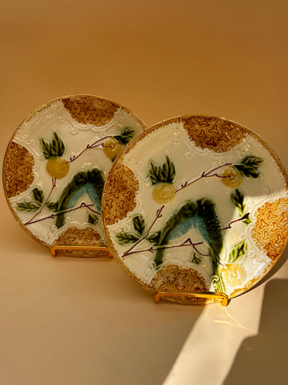 Duo assiettes perruches