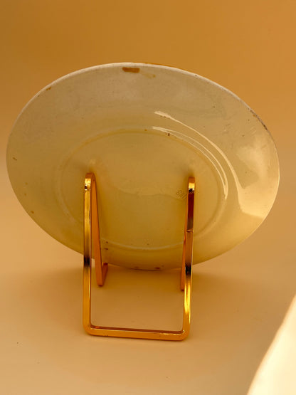Duo assiettes perruches