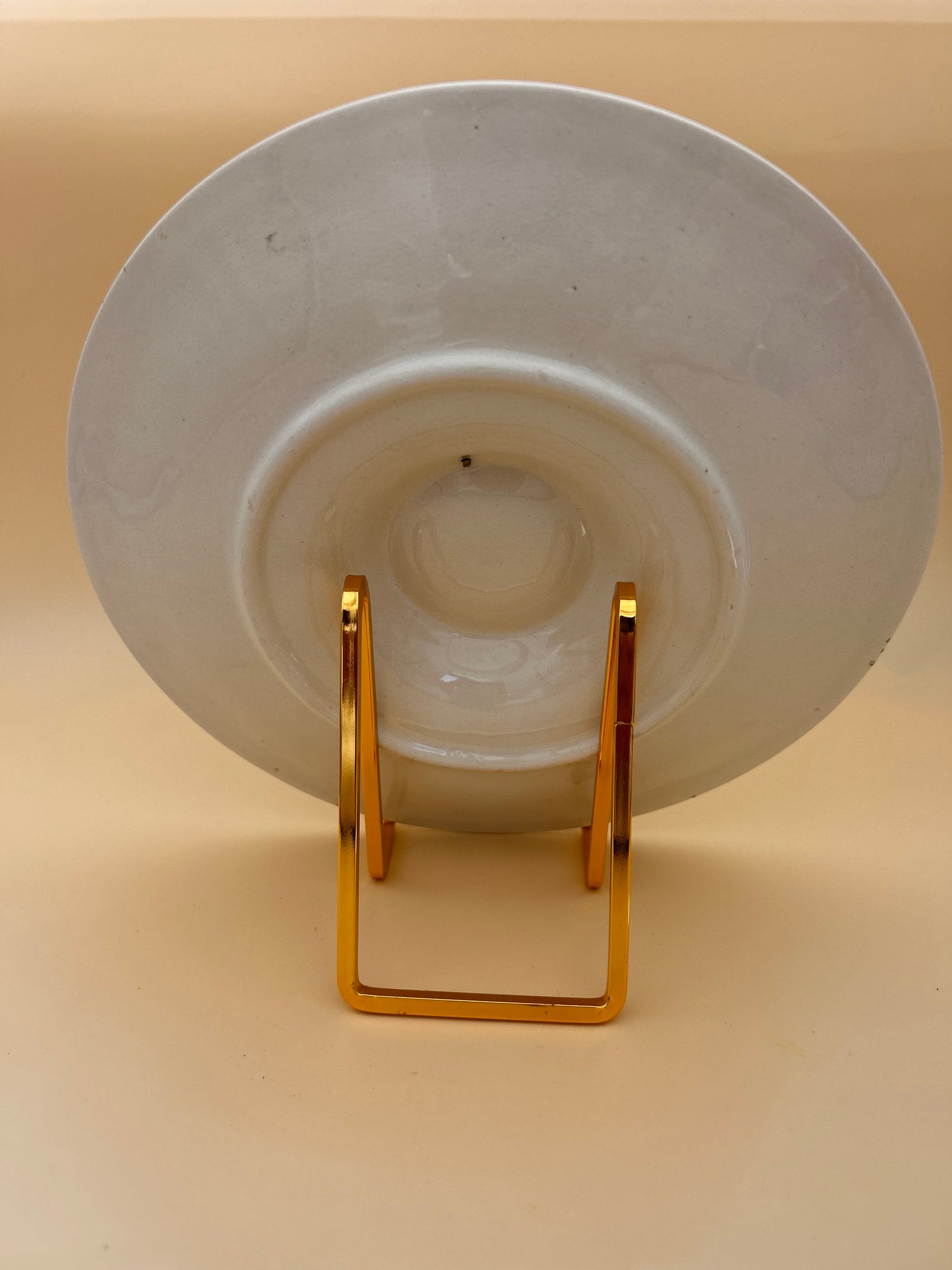 Assiette 19e coquillages