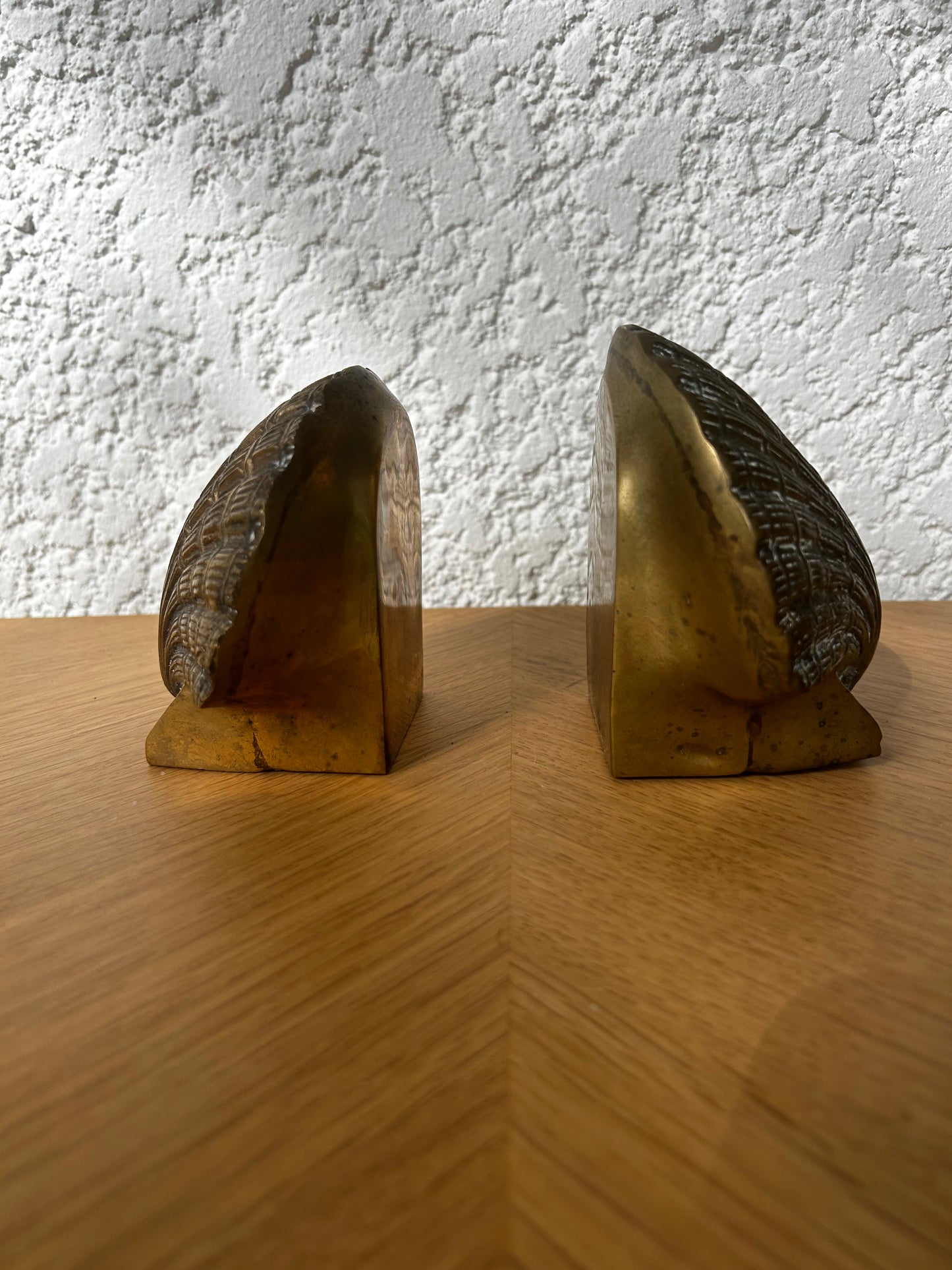 Serres livre laiton coquillage