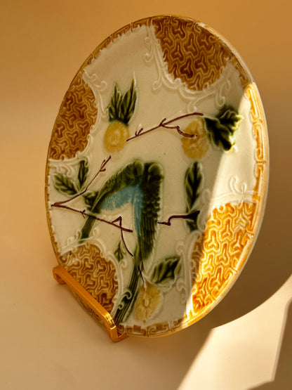Duo assiettes perruches