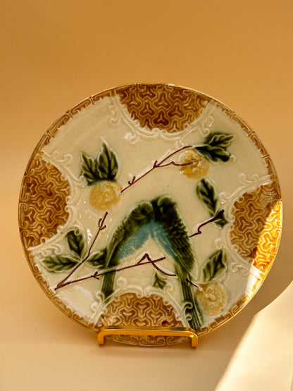 Duo assiettes perruches