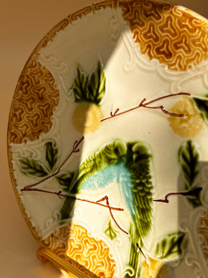Duo assiettes perruches