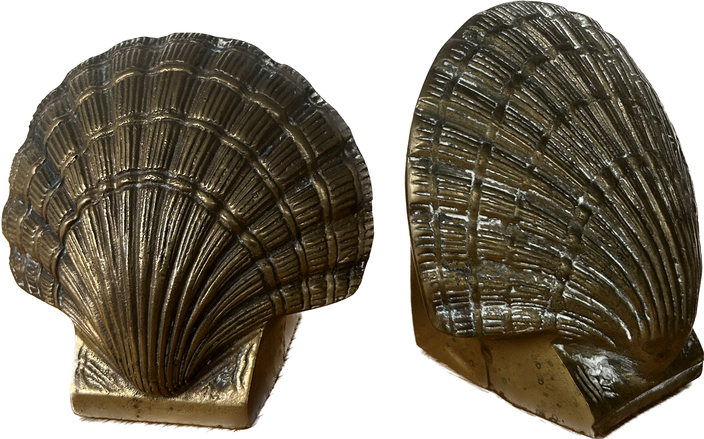 Serres livre laiton coquillage