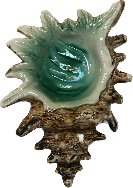 Décor mural Coquillage